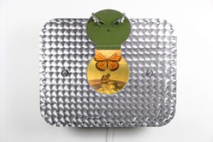 LepiDroptera - photo 1 of 3