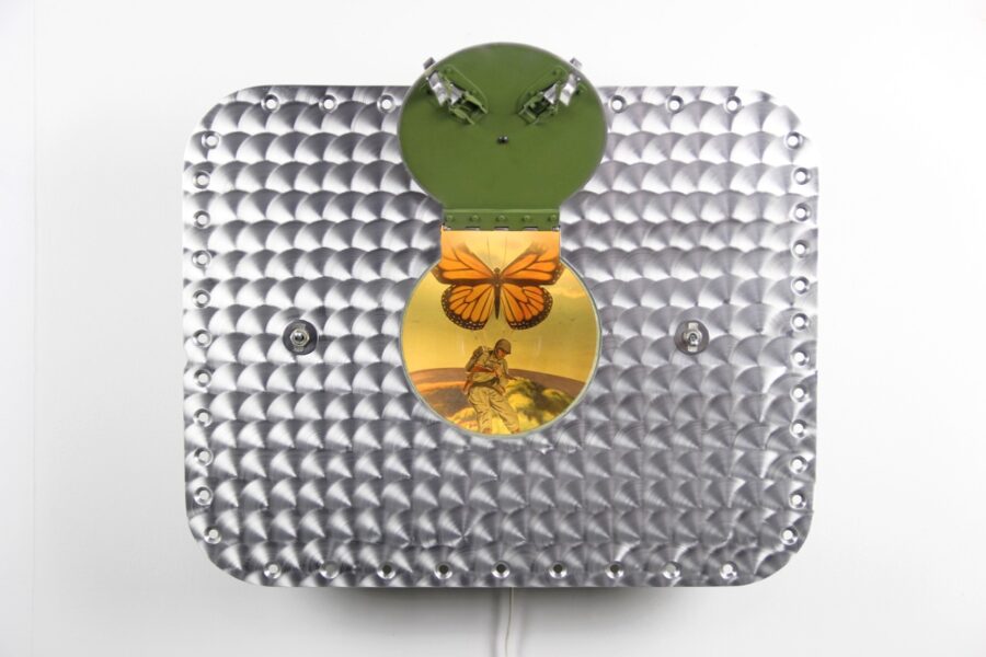 LepiDroptera