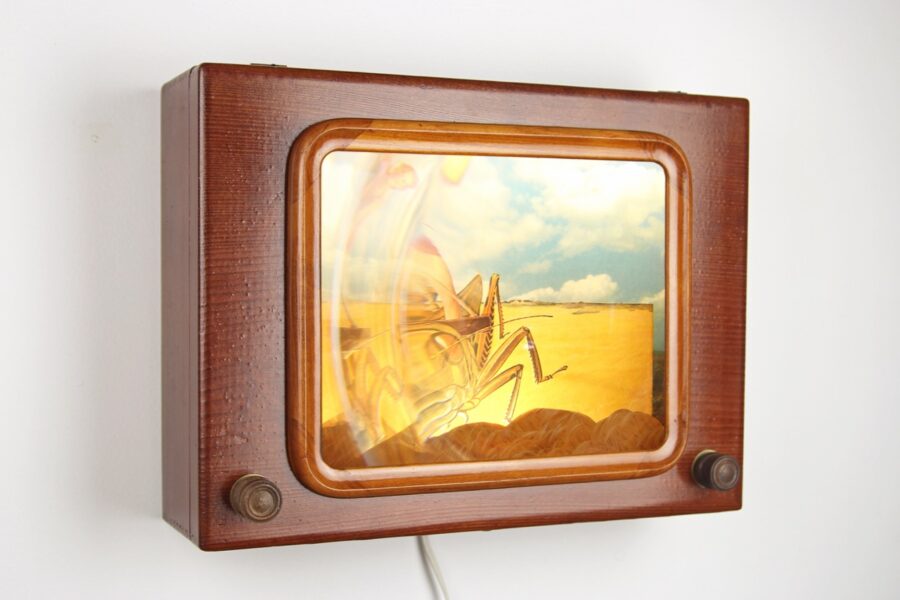 Invasive Species - photo 2 of 2, kinetic sculpture by Nemo Gould
