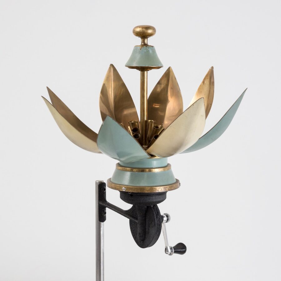 Lotus