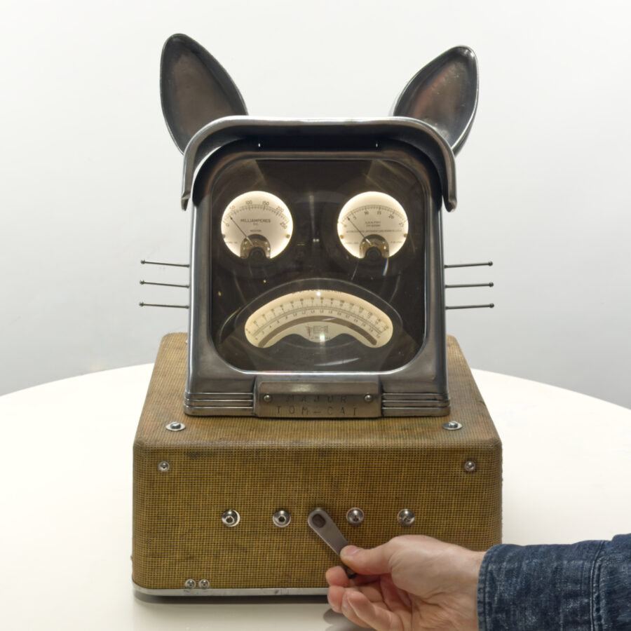 Major Tomcat
