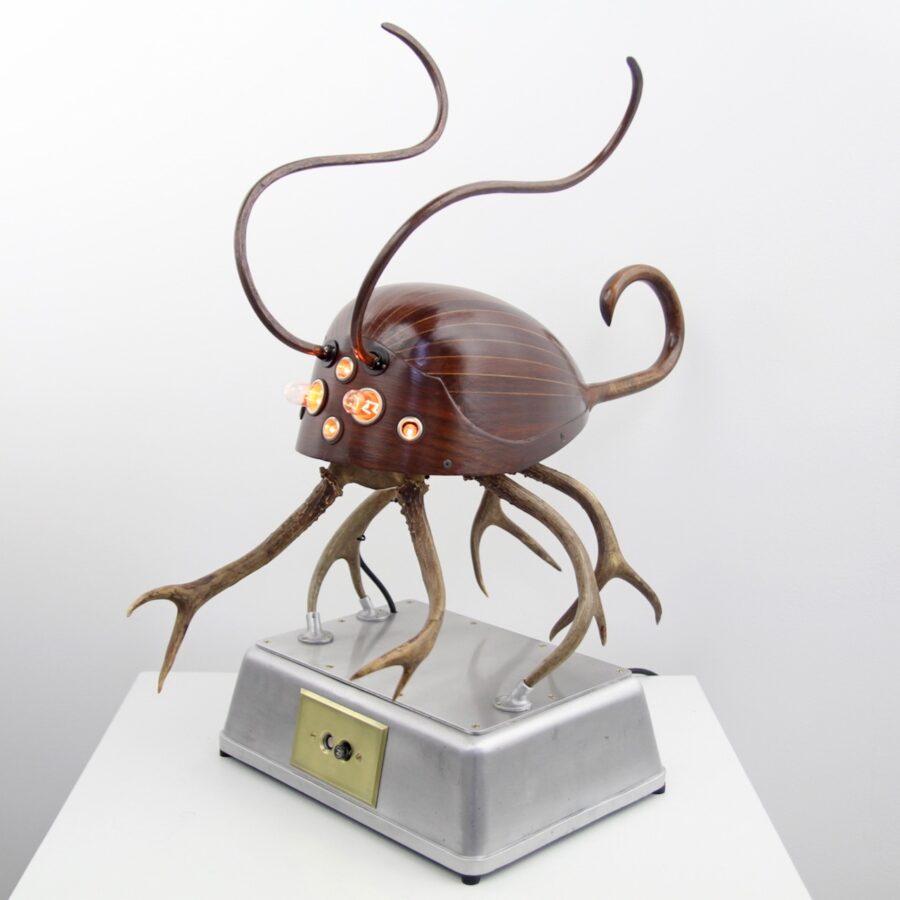 Mandolinsect
