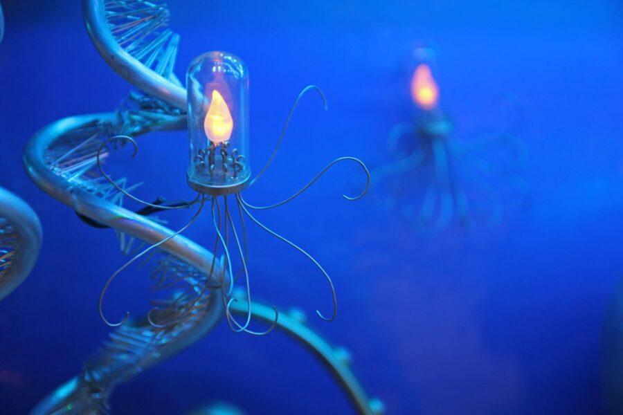 Octopus for Monterey Bay Aquarium - photo 2 of 5, kinetic sculpture by Nemo Gould