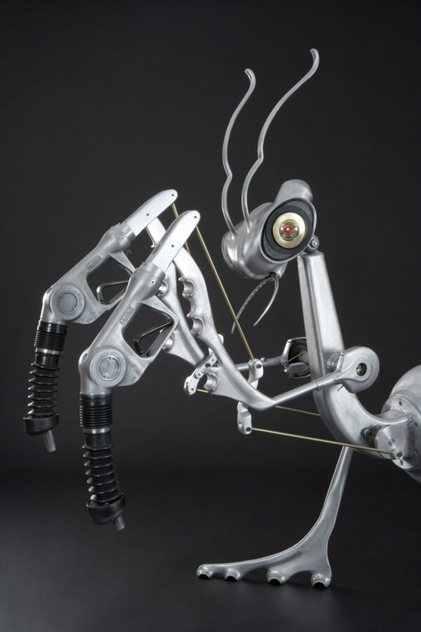 Praying Mantis - photo 2 of 5, kinetic sculpture by Nemo Gould