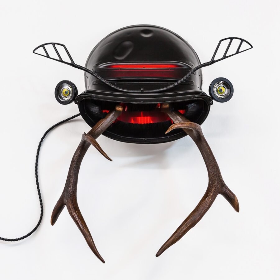 Stag Beetle
