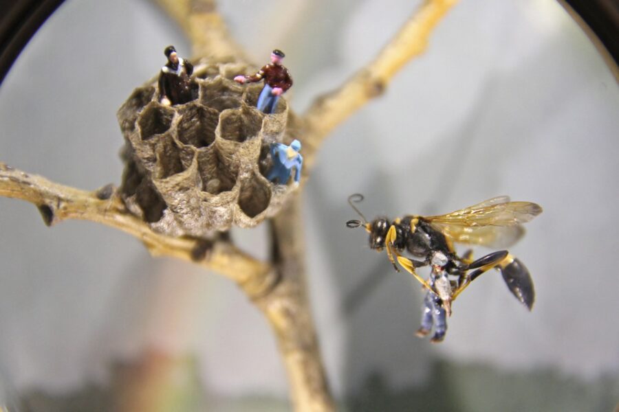 The Nest - photo 2 of 2, kinetic sculpture by Nemo Gould